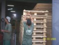 /album/pallets/ftsssssss62-800x600-jpg/